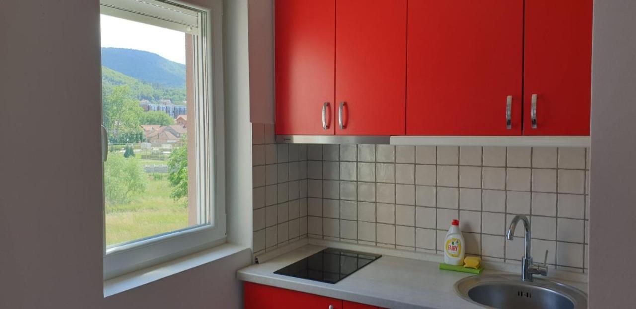 Lux Apartman Ristic 2 Soko Banja Exterior photo